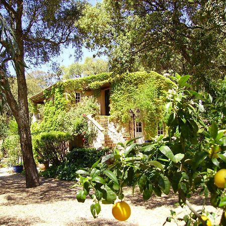 Le Bastidon Saint-Michel Bed & Breakfast Sainte-Maxime Ngoại thất bức ảnh