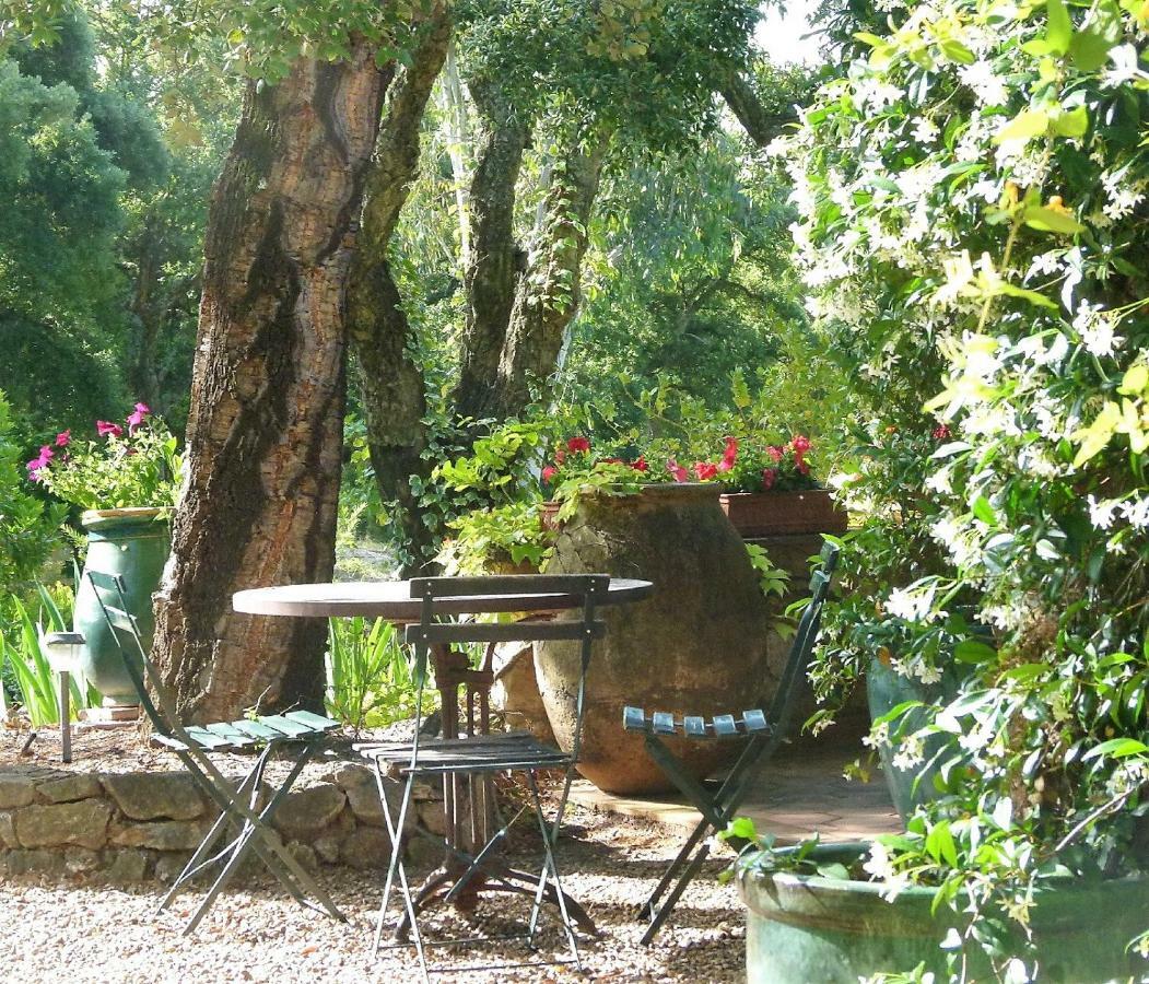 Le Bastidon Saint-Michel Bed & Breakfast Sainte-Maxime Ngoại thất bức ảnh