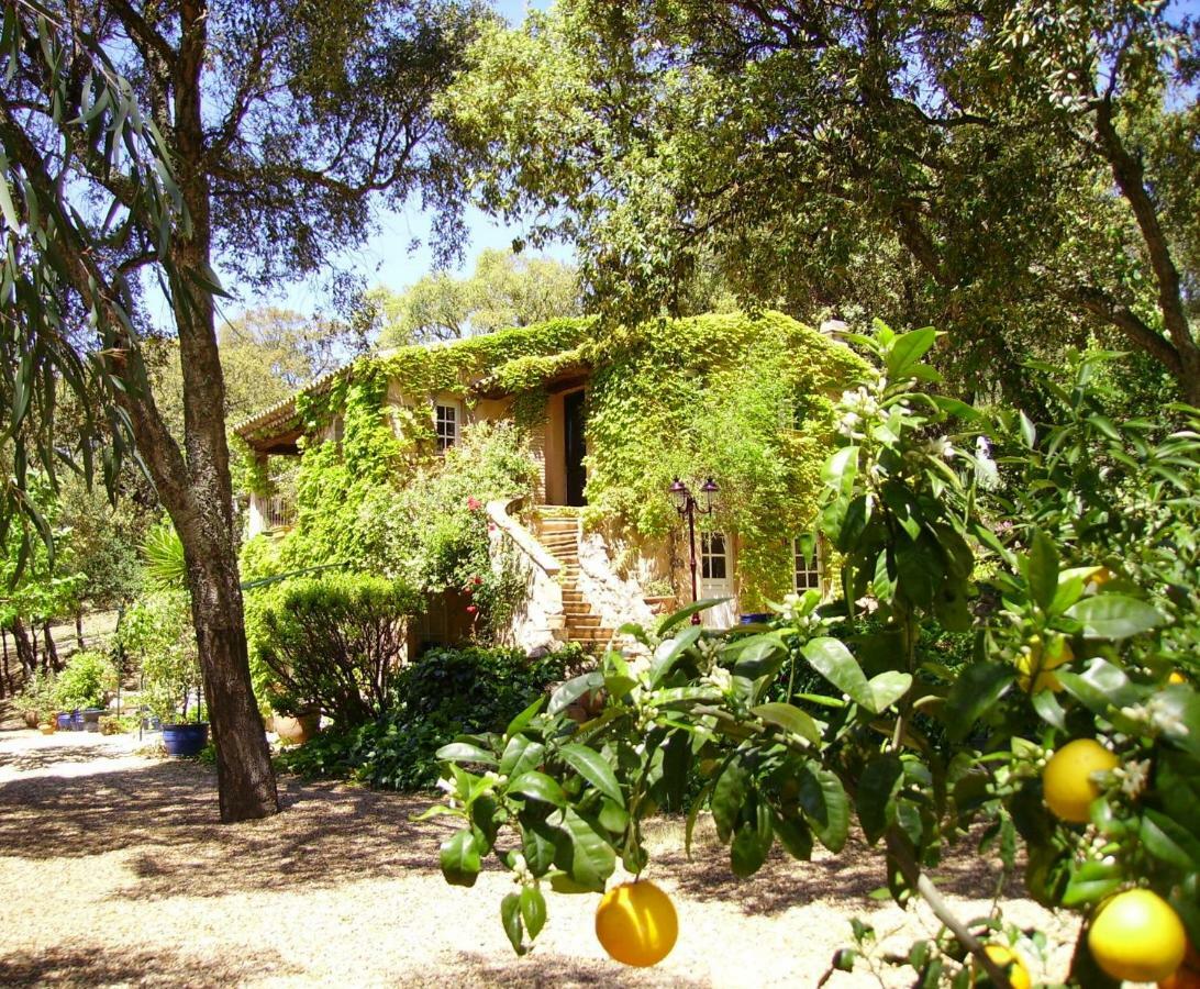 Le Bastidon Saint-Michel Bed & Breakfast Sainte-Maxime Ngoại thất bức ảnh