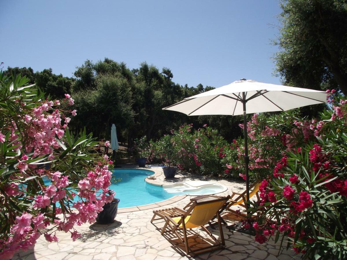 Le Bastidon Saint-Michel Bed & Breakfast Sainte-Maxime Ngoại thất bức ảnh